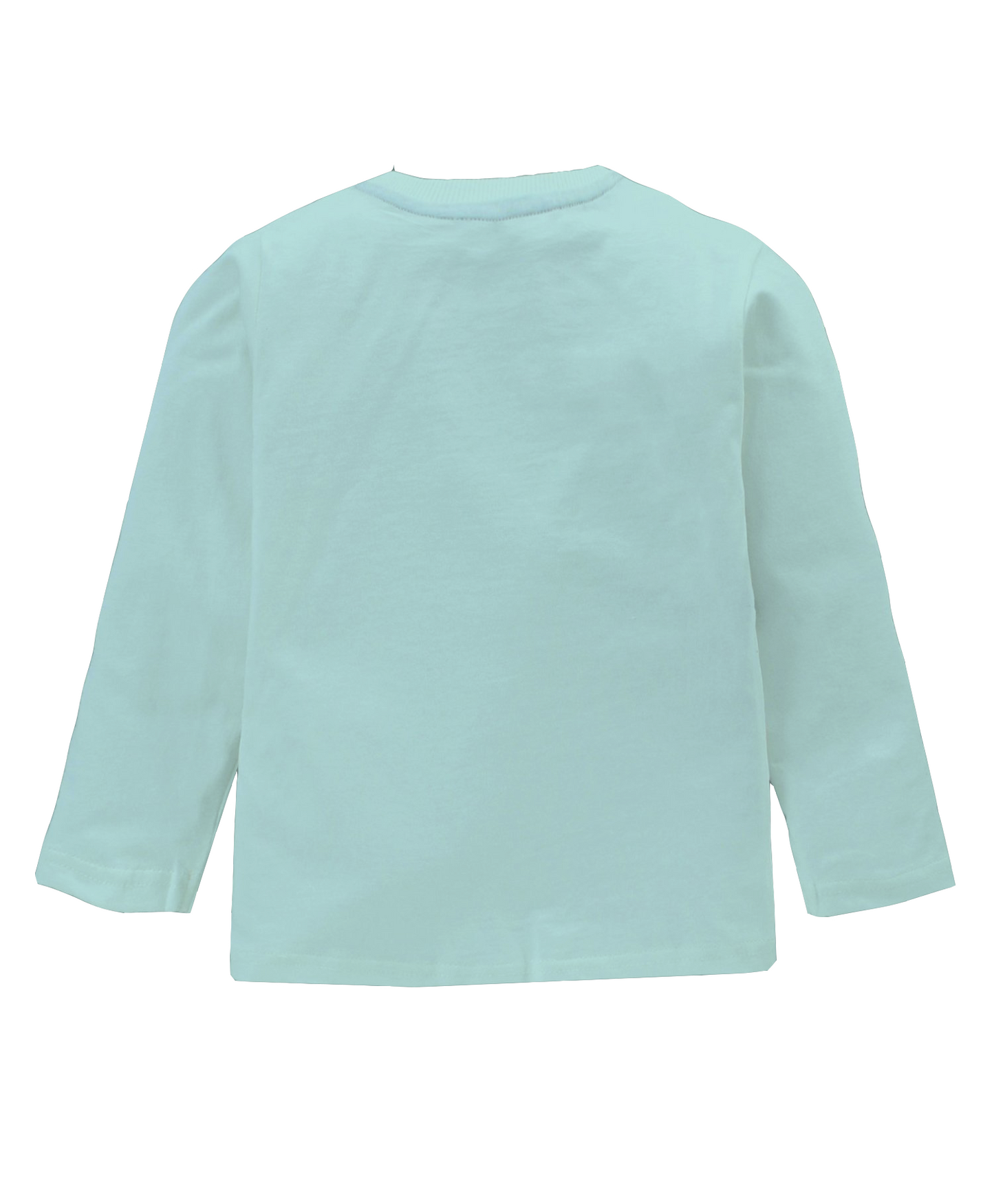 Climbing Panda Fair Aqua Full Sleeves Boys T-shirt